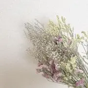 chanの画像