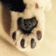 みさの画像