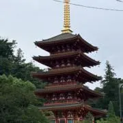 元気の画像