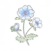 Riyの画像