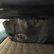 Atsushiの画像