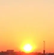 はなごまの画像