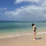 みーの画像