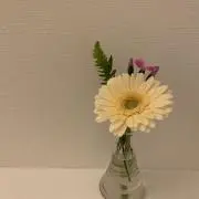 chi-iの画像