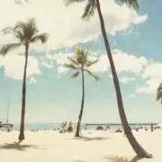 Z♡プロフィール必読の画像