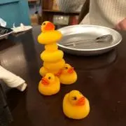 T01の画像