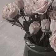 ＊の画像