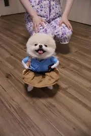 sakの画像