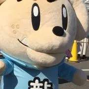 白米kbの画像