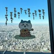 わらびの画像
