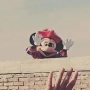 しなもんの画像