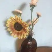 monoの画像