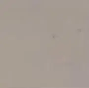 ぱんの画像