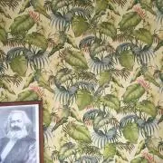 こっすーの画像