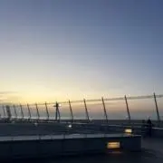 わにの画像