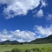 IGARINの画像