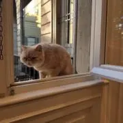mxixの画像