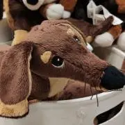 tumettiの画像