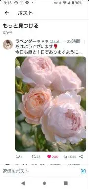 月の光