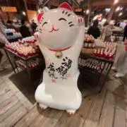 かきょ