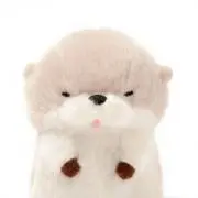 らっこの画像