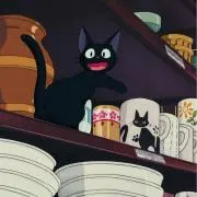 かい