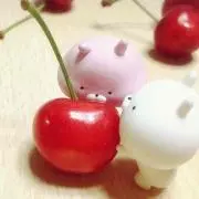 KAZUの画像