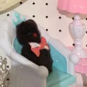 ^^ ♡