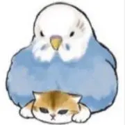 ピヨねこの画像