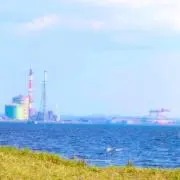 まいいの画像