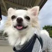 あーす◡̈⋆*