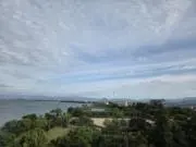 いわの画像