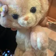 シナモロールの画像