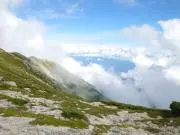 イマの画像