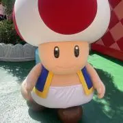 pionの画像