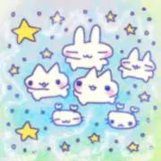 花の画像