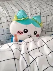 おーちゃんの画像