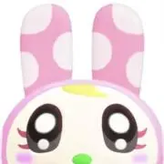みの画像