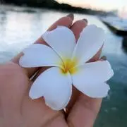 AYAKAMARUの画像