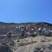 まむし