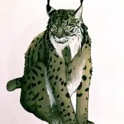 ぽんぽんの画像