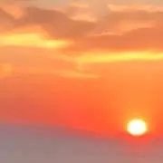 みの画像