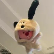 kakaの画像