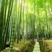 AAAAA