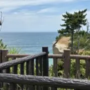 うみの画像