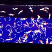 MiMi❁︎プロフの画像