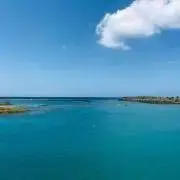 arincoの画像