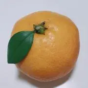 Iyo プロフ一読必須の画像