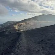 TSRNの画像