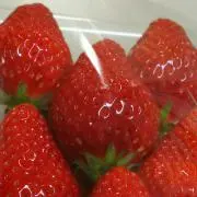 いちご(匿名配送)の画像